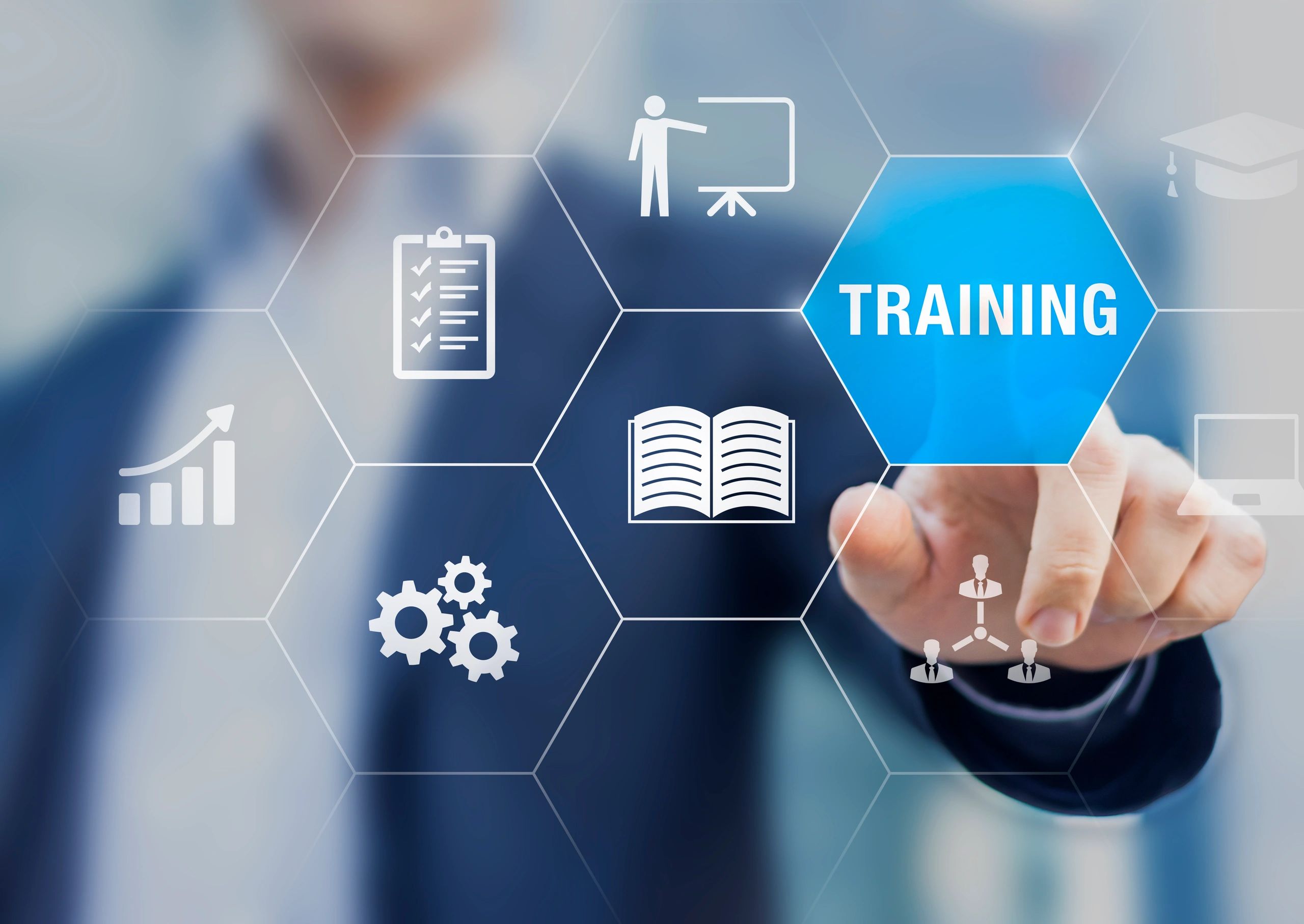 training capacity building programme implementation consulting