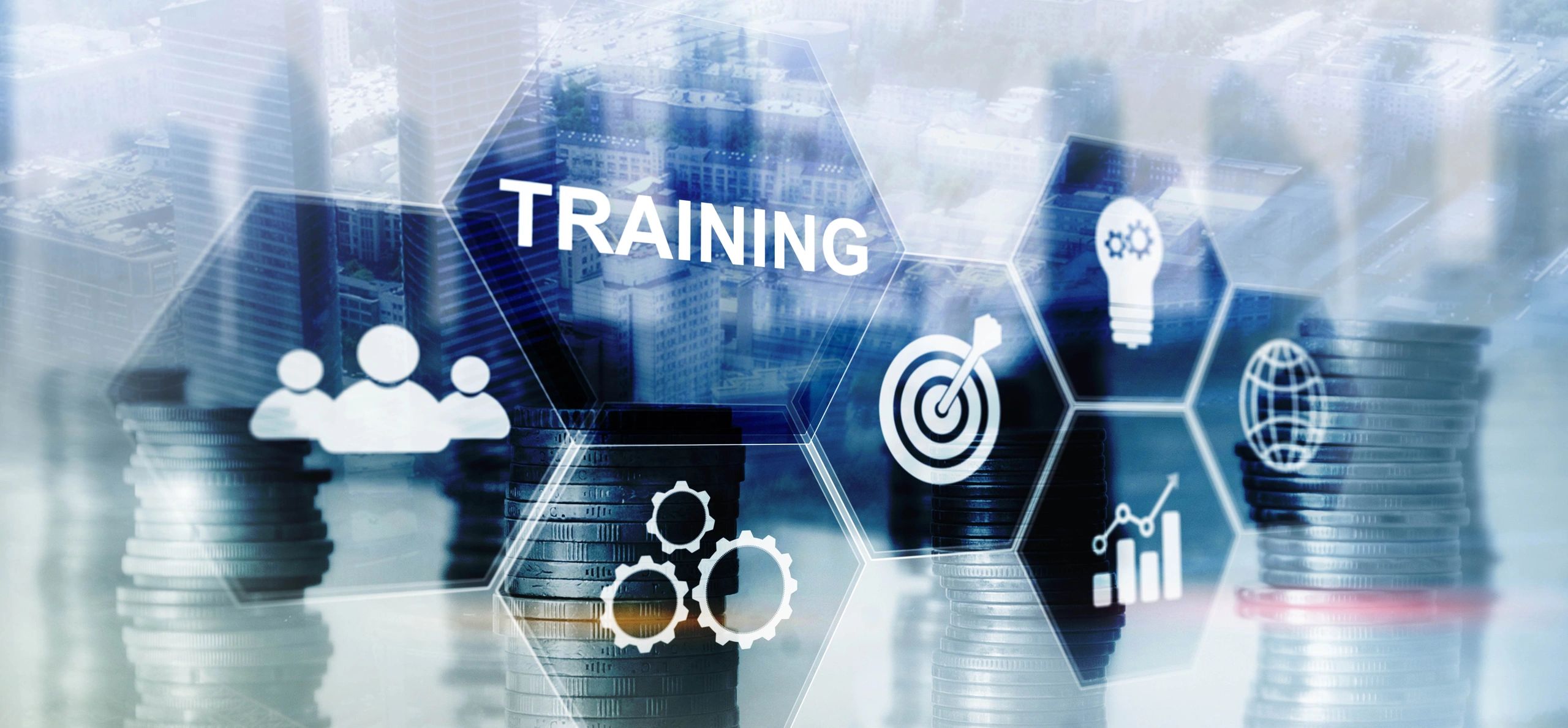 training capacity building programme implementation consulting